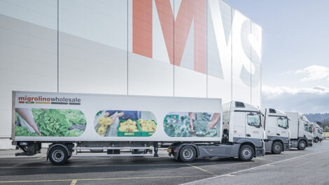 Image Migrolino wholesale lastwagen